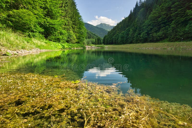 Lubochniansky tajch lake in Lubochnianska dolina valley in Velka Fatra mountains