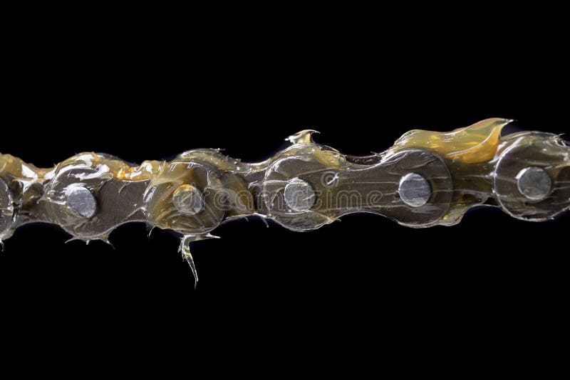 Lubricate the Bicycle Chain with Grease. Service Work Carried Out in a