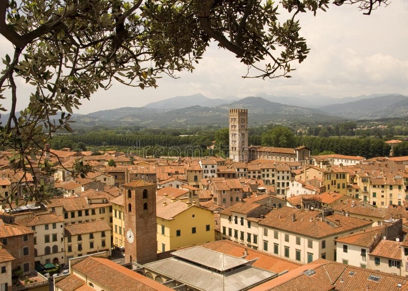 Lucca rooftops