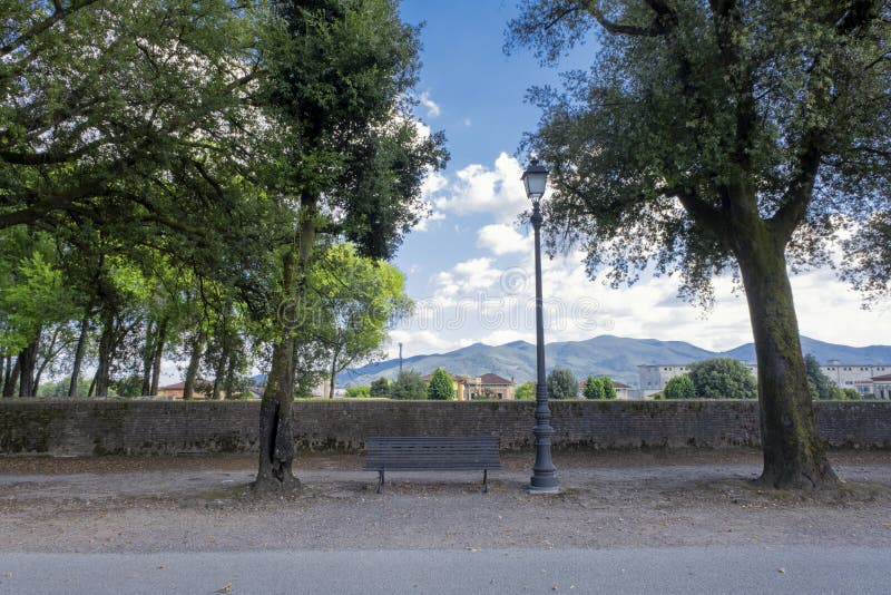Lucca in Tuscany, Italy: row of trees and green grass along the road and the brick walls, the old defensive ramparts. Now a pedestrian promenade under the blue stock image Lucca in Tuscany, Italy: row of trees and green grass along the road and the brick walls, the old defensive ramparts. Now a pedestrian promenade under the blue stock image