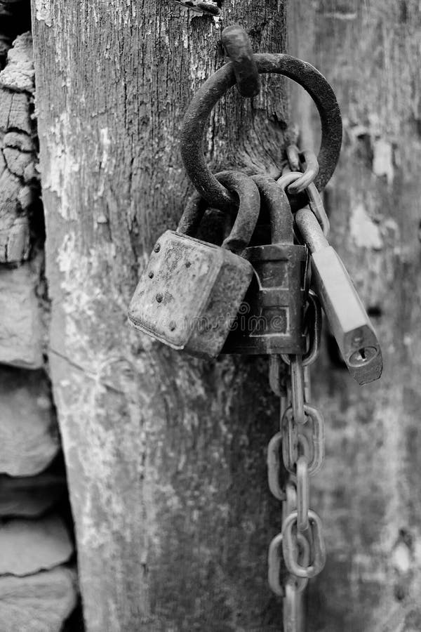 Lucchetti corrosi annata con la catena su un fondo antico del portone in B&W Rusty Padlocks anziano su una porta di legno immagini stock Lucchetti corrosi annata con la catena su un fondo antico del portone in B&W Rusty Padlocks anziano su una porta di legno immagini stock