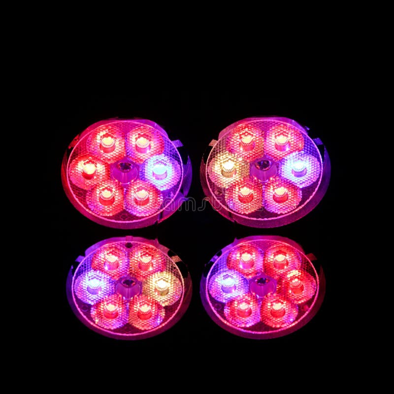 Luce artificiale di coltivazione multispettrica fotografie stock