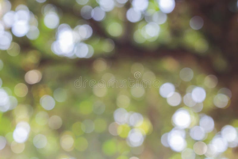 Luce di Bokeh sul fondo verde di colore pastello immagini stock Luce di Bokeh sul fondo verde di colore pastello immagini stock