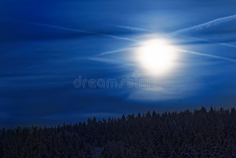 Luce solare di stupore in cielo blu profondo sopra l'abetaia in un inverno fotografie stock Luce solare di stupore in cielo blu profondo sopra l'abetaia in un inverno fotografie stock