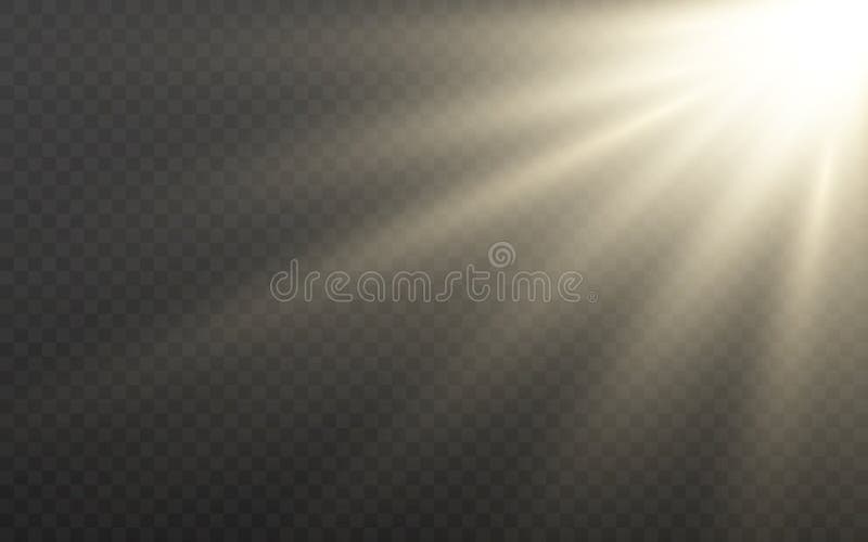 Luce solare su sfondo trasparente Effetto luce solare con raggi luminosi Fari gialli luminosi e lenti lenti Sunshine