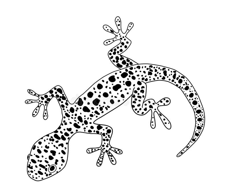 Lucertola Doodle disegnato a mano Illustrazione modellata etnica Tatuaggio di schizzo royalty illustrazione gratis Lucertola Doodle disegnato a mano Illustrazione modellata etnica Tatuaggio di schizzo royalty illustrazione gratis