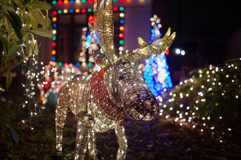 Luces de la Navidad en una forma de un ciervo imagen de archivo libre de regalías Luces de la Navidad en una forma de un ciervo imagen de archivo libre de regalías