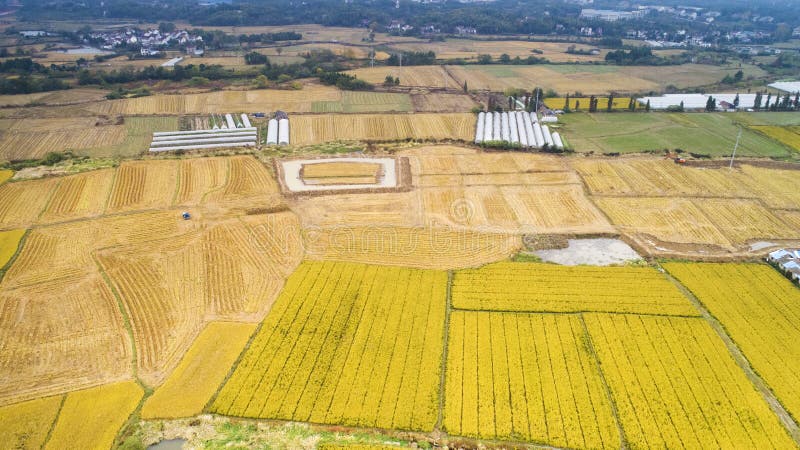 Luchtfoto van het mooie platteland van Zuid-China in de herfst stock foto's Luchtfoto van het mooie platteland van Zuid-China in de herfst stock foto's