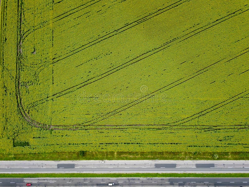 Luchtmening van een hommel op een landbouwgebied met een landelijke weg langs het gebied en auto's op het De mening is strikt royalty-vrije stock afbeelding Luchtmening van een hommel op een landbouwgebied met een landelijke weg langs het gebied en auto's op het De mening is strikt royalty-vrije stock afbeelding