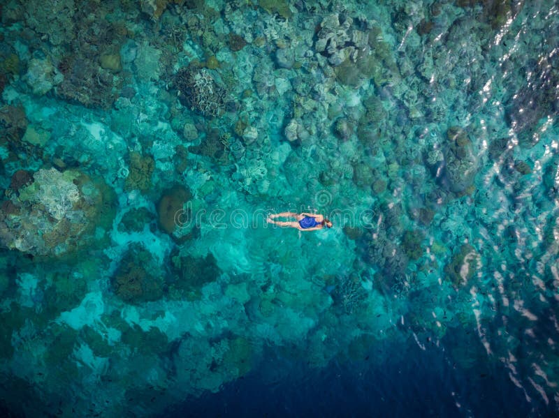 Luchttop down die mensen op koraalrif tropische Cara?bische overzees snorkelen, turkoois blauw water De archipel van Indonesi? Wa royalty-vrije stock fotografie Luchttop down die mensen op koraalrif tropische Cara?bische overzees snorkelen, turkoois blauw water De archipel van Indonesi? Wa royalty-vrije stock fotografie