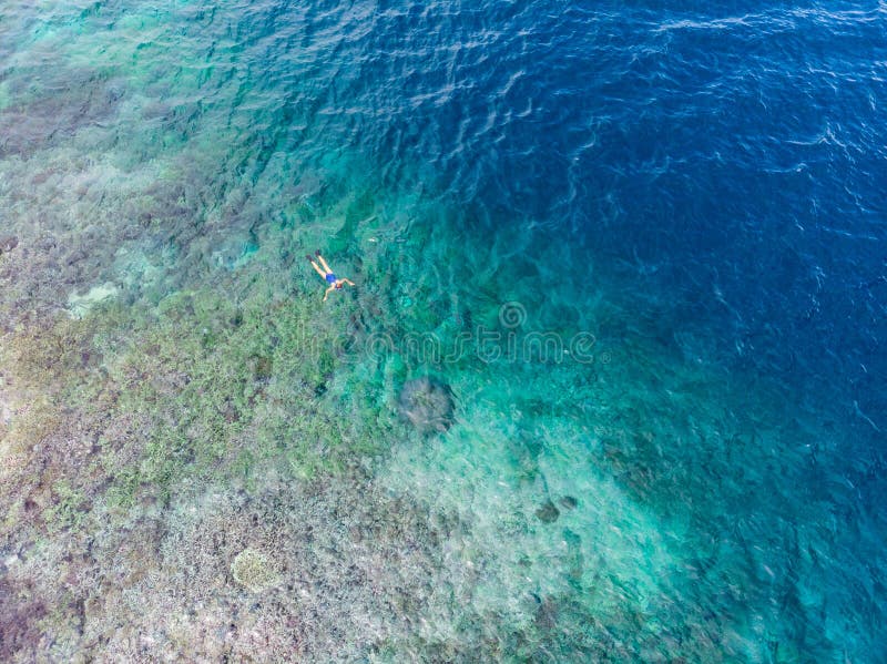 Luchttop down die mensen op koraalrif tropische Cara?bische overzees snorkelen, turkoois blauw water De archipel van Indonesi? Wa stock foto Luchttop down die mensen op koraalrif tropische Cara?bische overzees snorkelen, turkoois blauw water De archipel van Indonesi? Wa stock foto