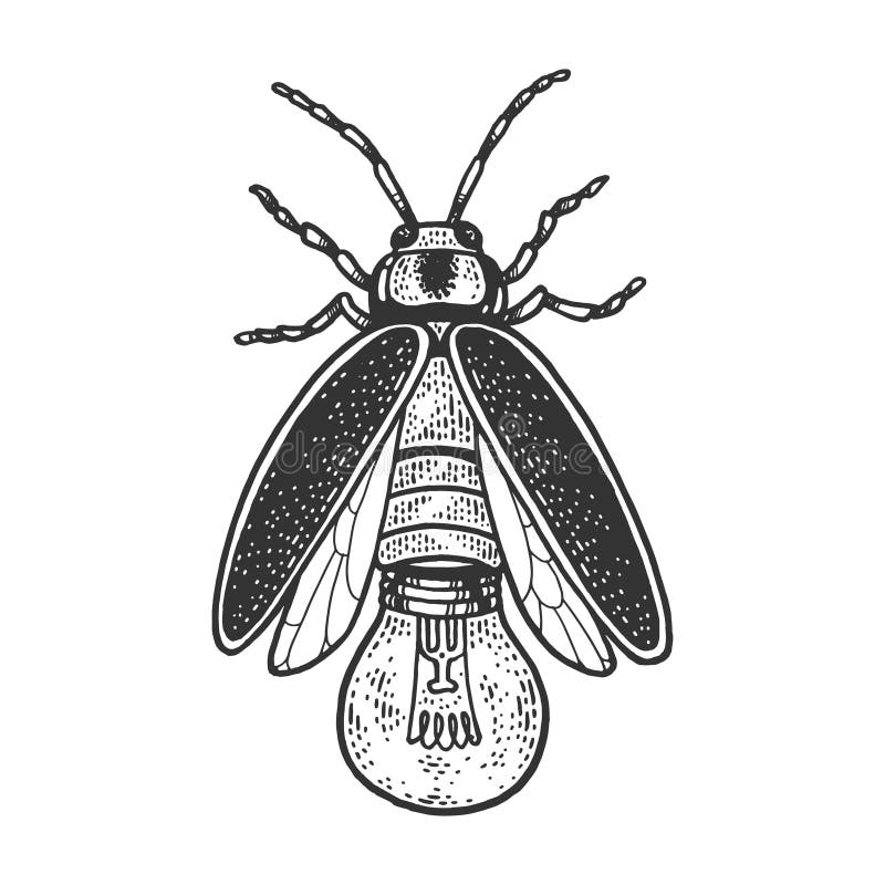 Insecte Insectes Volants Lucioles Et Veilleuse Lumineuse Luciole Insecte  PNG , Clipart De Luciole, Insectes Insectes Volants, Des Lucioles Fichier  PNG et PSD pour le téléchargement libre