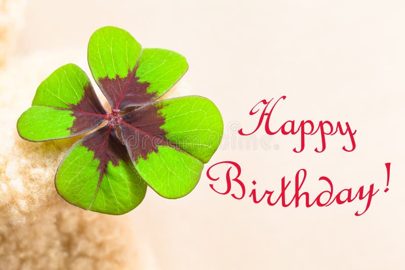 Big four-leaved multicolored clover leaf at hand of teddy bear with red written words HAPPY BIRTHDAY! copy space. Big four-leaved multicolored clover leaf at hand of teddy bear with red written words HAPPY BIRTHDAY! copy space