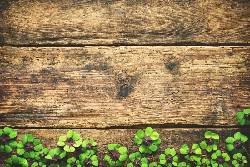 Clover leaves on the old wooden background. Lucky shamrock. St.Patrick`s day background with copyspace for text