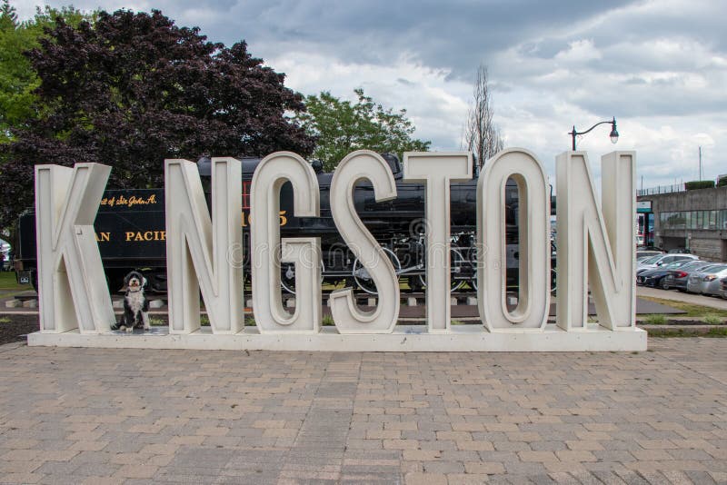 Dog in the Kingston sign editorial image. Image of portuguese 259680460
