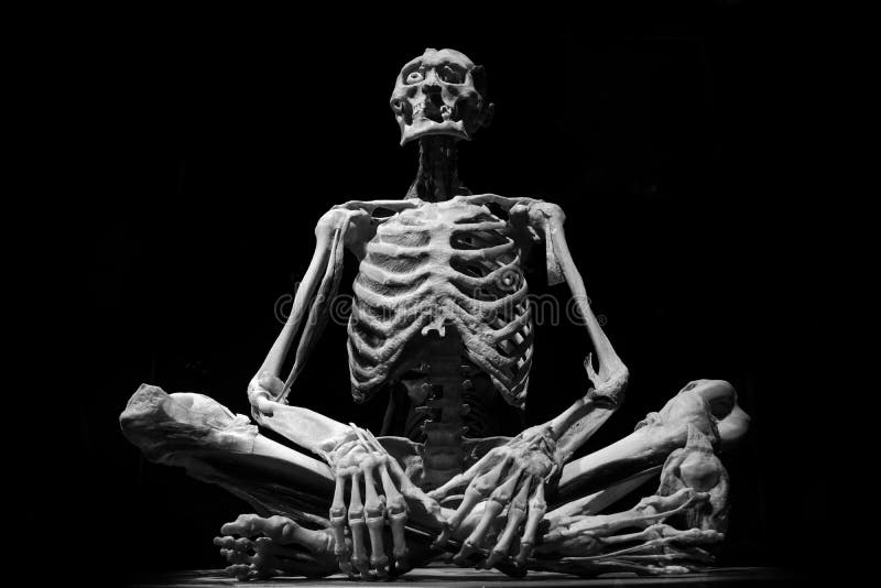 Human skeleton people isolated black white art model medicine. Human skeleton people isolated black white art model medicine