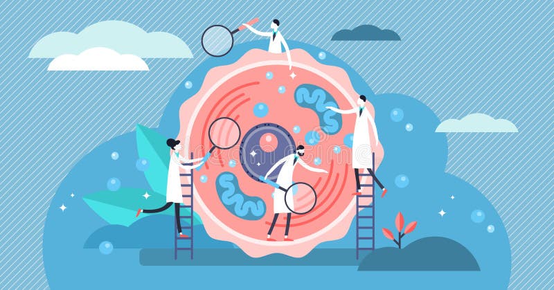 Ludzka komórka wektoru ilustracja Malutki stylizowany mikrobiologii persons pojęcie ilustracja wektor Ludzka komórka wektoru ilustracja Malutki stylizowany mikrobiologii persons pojęcie ilustracja wektor