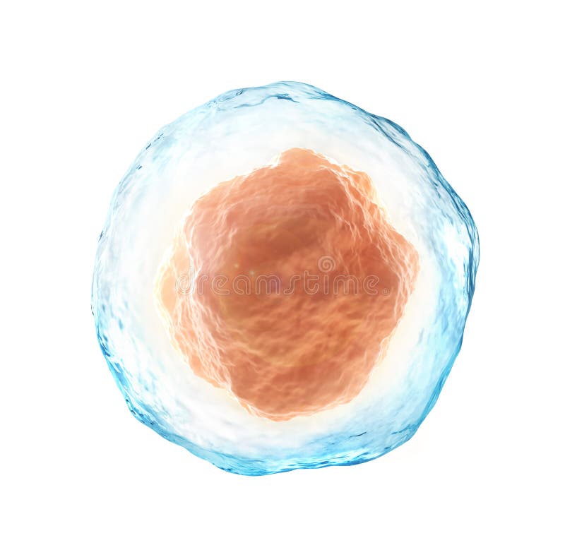 Ludzka komórka wyizolowana na białym