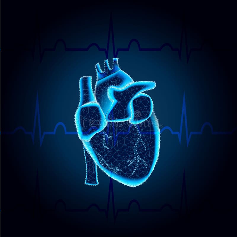 Ludzki kierowy wielobok na ECG błękitnej siatce 3 ilustracja wektor Ludzki kierowy wielobok na ECG błękitnej siatce 3 ilustracja wektor