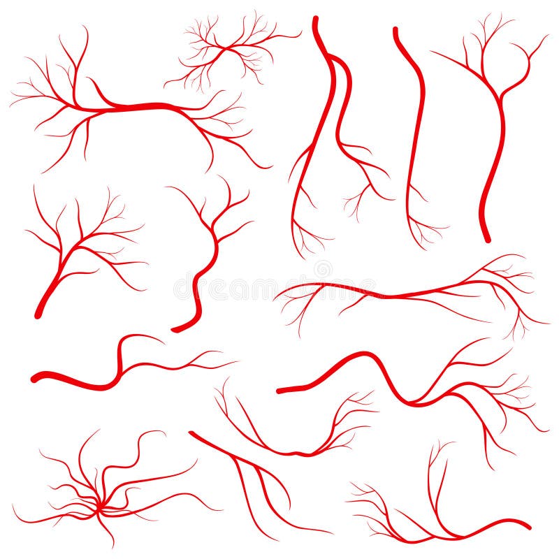 Ludzkiego oka żyły, naczynie, krwionośne arterie odizolowywać na białym wektoru secie ilustracji Ludzkiego oka żyły, naczynie, krwionośne arterie odizolowywać na białym wektoru secie ilustracji