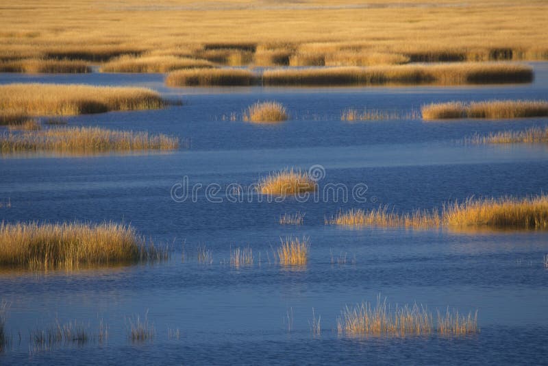 Lueur de coucher du soleil chaude sur le marais au point de Milford, le Connecticut image libre de droits Lueur de coucher du soleil chaude sur le marais au point de Milford, le Connecticut image libre de droits