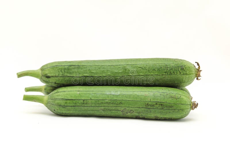 Luffa ad angolo fresca o zucca ad angolo fotografie stock Luffa ad angolo fresca o zucca ad angolo fotografie stock