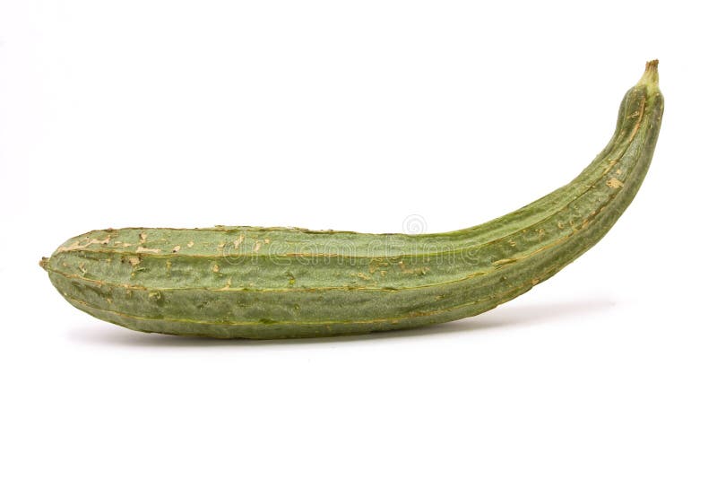 Raw Luffa Squash or Touria used in asian cooking or dried out to scrub your back.