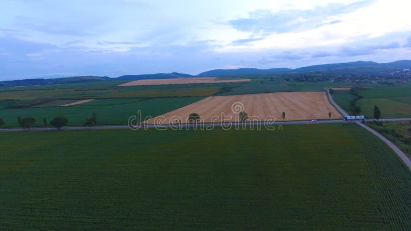 Luftbild der landwirtschaftlichen Felder Sommerzeit