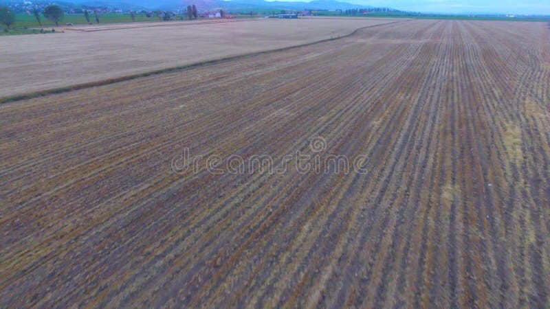 Luftbild der landwirtschaftlichen Felder Sommerzeit