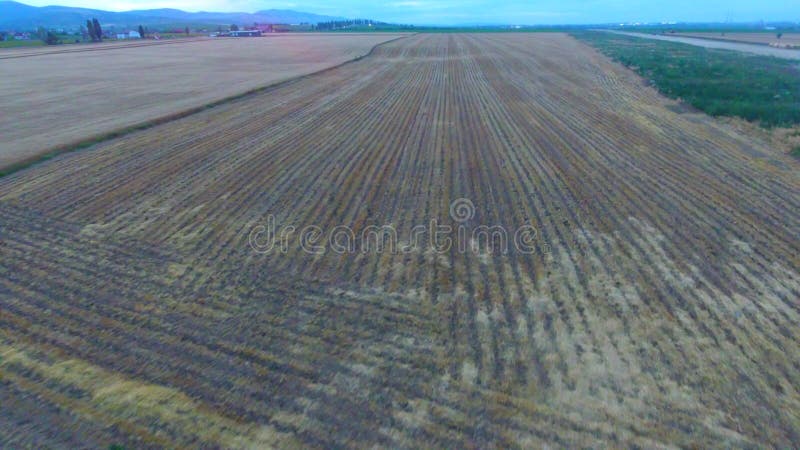 Luftbild der landwirtschaftlichen Felder Sommerzeit