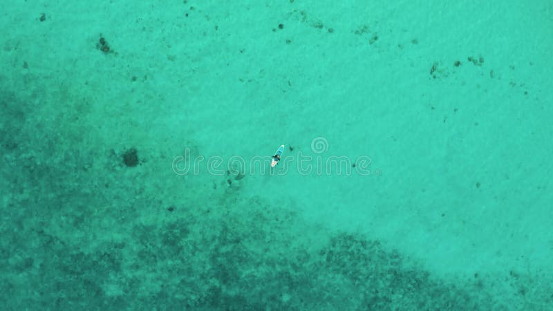 Luftbild einer Frau auf einem Surfbrett im türkisfarbenen Wasser der Malediven. stock video footage