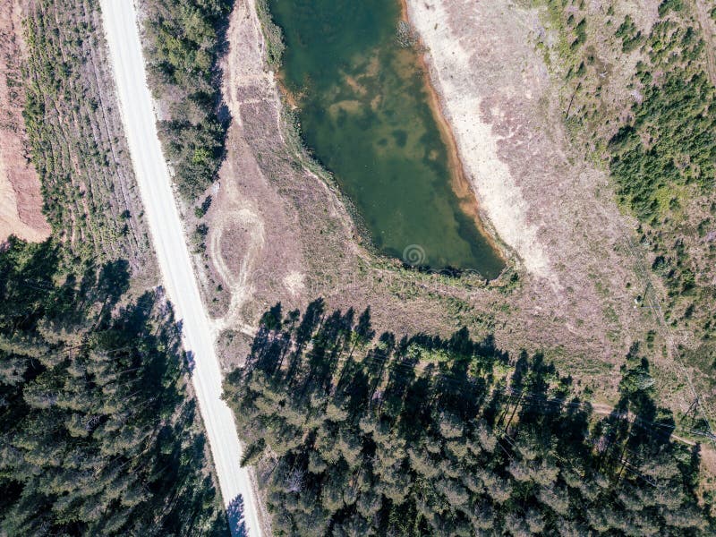 Luftbrummenansicht von grünem See in der Waldfläche mit Straßennetz im Sommer