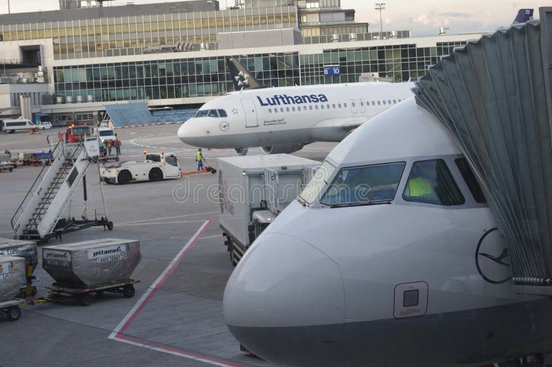 Lufthansa plane at airport gate royalty free stock images