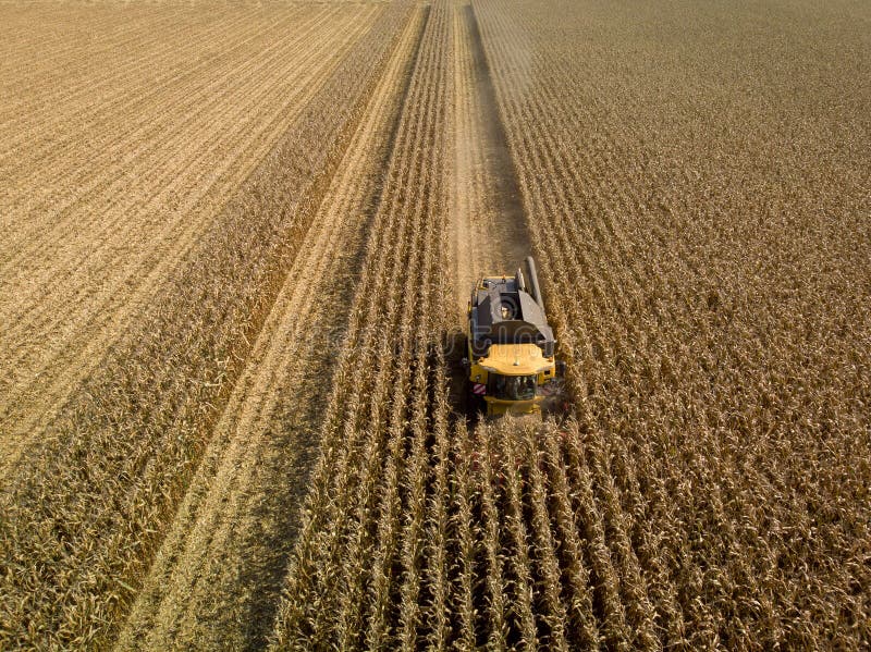 Luftschuß des mähenden Maisfeldes der Erntemaschine lizenzfreie stockfotos Luftschuß des mähenden Maisfeldes der Erntemaschine lizenzfreie stockfotos