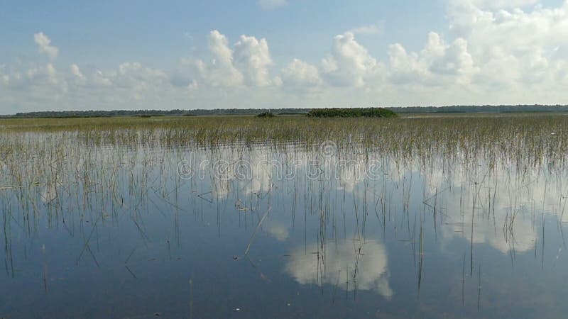 Luftstrandwelle auf tropischem Meer