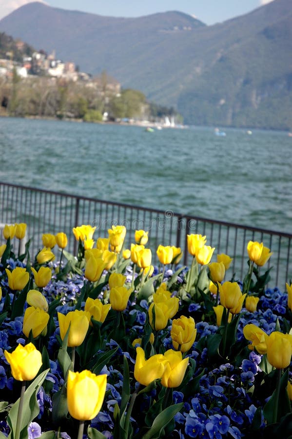 Lugano, flowers on the lake