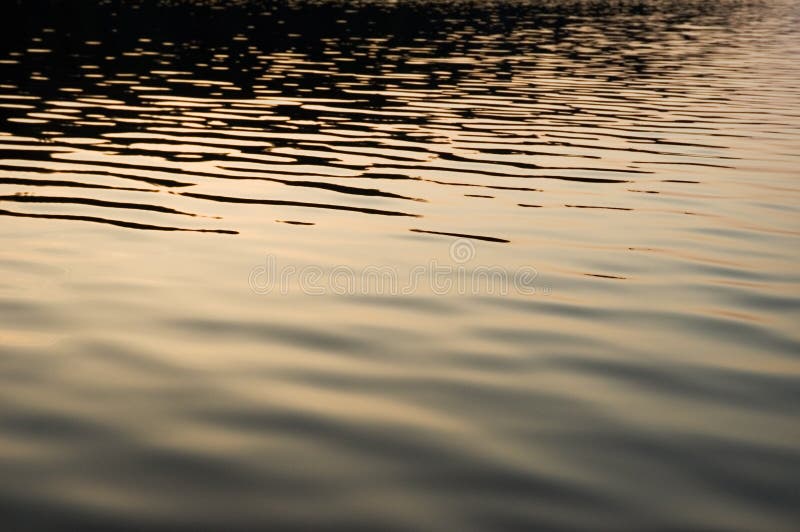 Lugnat lakevatten arkivbild