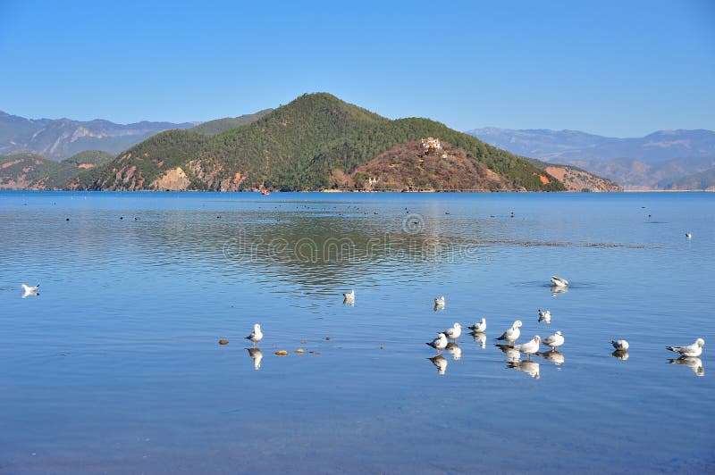 Lugu Lake in Yunnan stock photo Lugu Lake in Yunnan stock photo