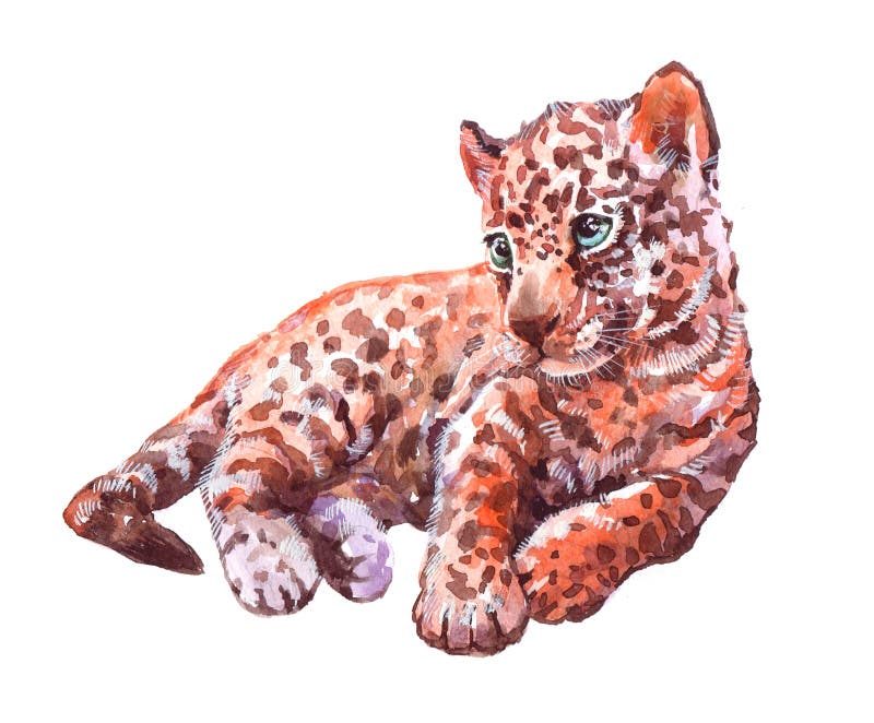 Luipaard Wilde Grote Kat Geïsoleerde waterverf realistische illustratie vector illustratie Luipaard Wilde Grote Kat Geïsoleerde waterverf realistische illustratie vector illustratie