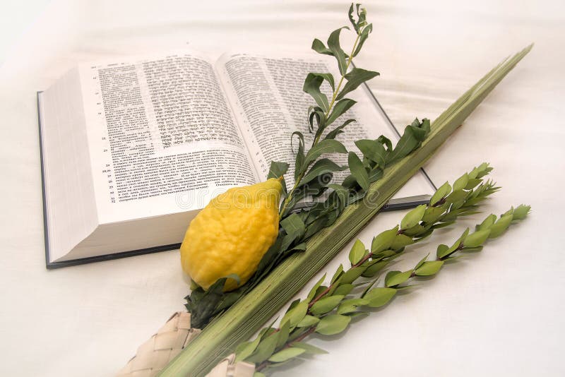 Lulav stock images.