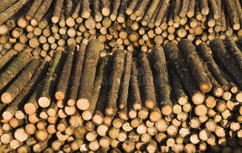 Lumber stock photos