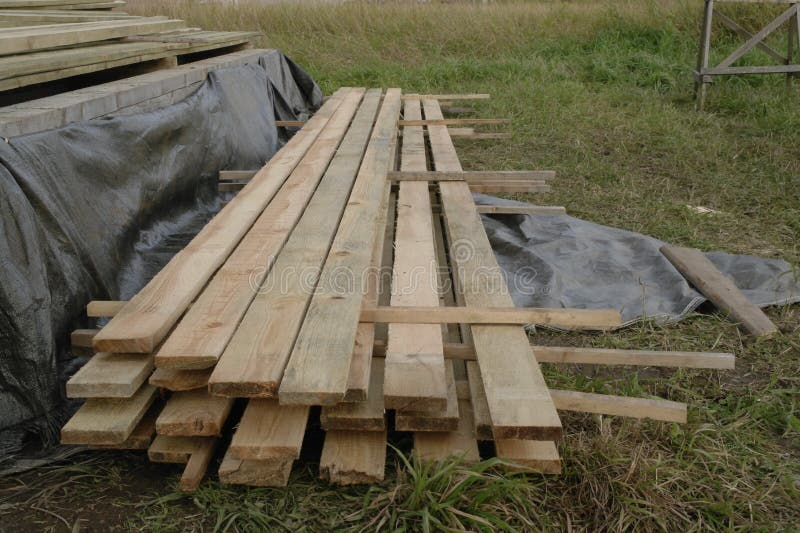 Lumber, edged Board stock image. Image of trees, north 103521121