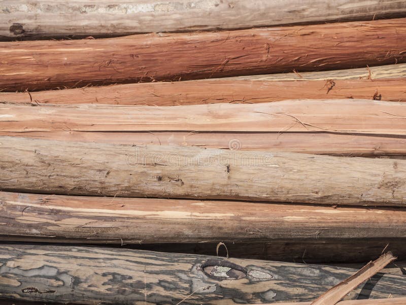 The lumber business stock photo. Image of woods, sunshine 30857248