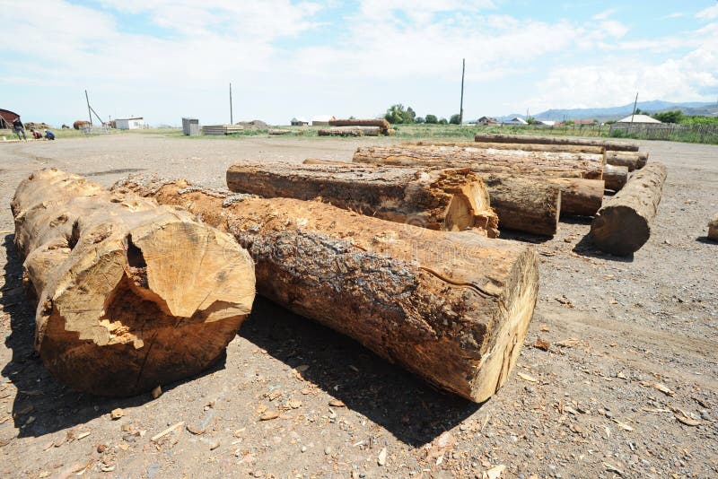Lumber for Processing and Preparation in Repair and Construction Stock