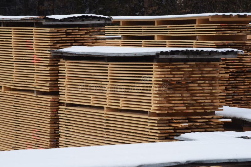 Lumber Yard in the Wood Industry in Winter Stock Image Image of wood