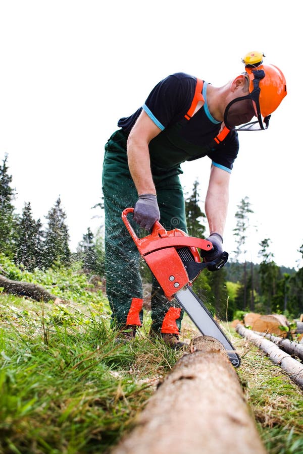 Lumberjack stock photography Lumberjack stock photography