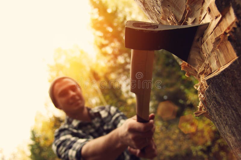 Lumberjack Chopping Wood in the Forest Stock Image Image of power