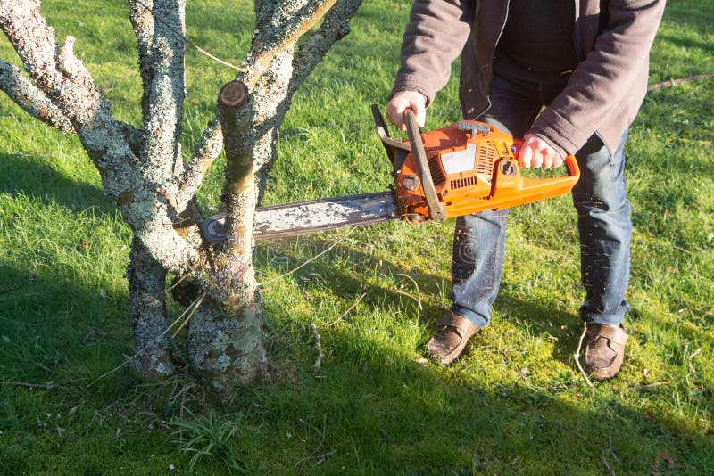Lumberjack Cutting Branch with a Chain Saw Stock Photo Image of
