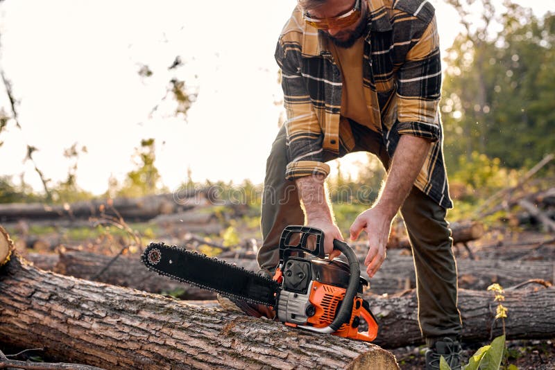 Lumberjack Going To Saw Branches with Chainsaw from Felled Tree in ...