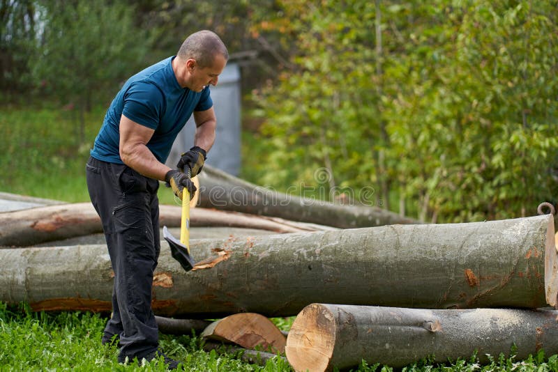 Lumberjack Hands Sawing Logs Stock Image Image of home, lumberjack 167471345